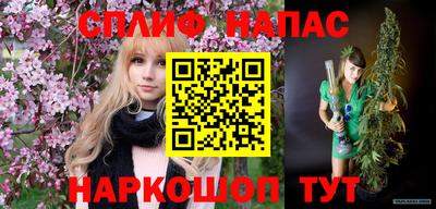 мдпв Моздок
