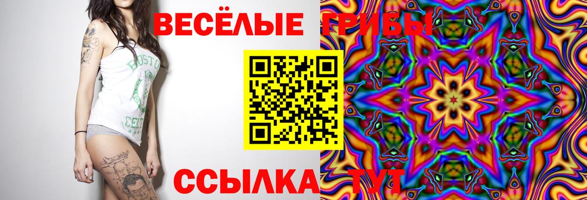 Псилоцибиновые грибы прущие грибы Чехов