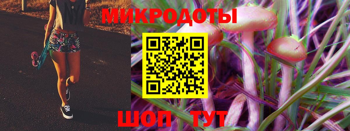 Псилоцибиновые грибы GOLDEN TEACHER  где найти   Чехов  Вход с VPN  Псилоцибиновые грибы Psilocybine cubensis 